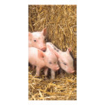 Piglets Photo Card Template