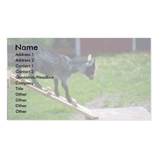 Pigmy Goat Business Card Templates