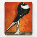 Pigmy Pouter Black Pied mousepads