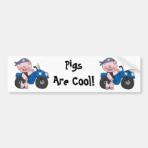 Pigs Are Cool Bumper Sticker