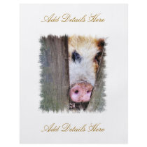 PIGS FLYER