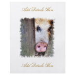 PIGS flyers