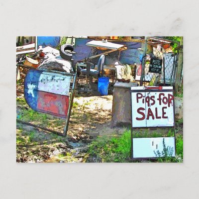 Pigs for Sale in Dale, TX