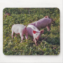 Pigs in nature mousepad by Thorninger Pigs in nature mousepad