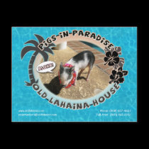 Pigs in Paradise postcards