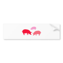 Pigs Looking for Food (Red) Bumper Stickers