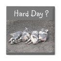 Pigs magnets by katmal Pigs magnets