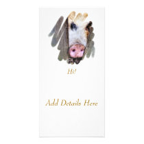 PIGS PHOTO CARD TEMPLATE