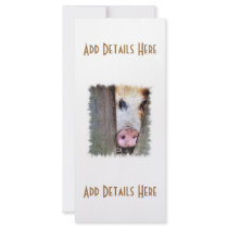 PIGS CUSTOM RACK CARD