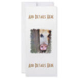 PIGS rack cards
