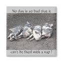 Pigs sleeping magnets