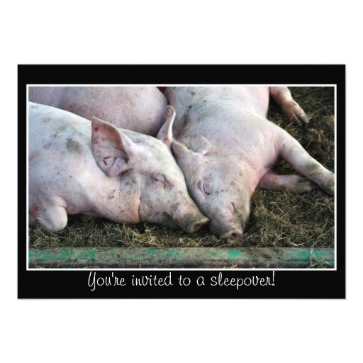 Pigs sleeping, sleepover invitation (front side)