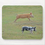 Pigs-will-fly mousemat