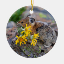 pika carrying wildflowers ornaments