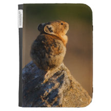 Pika in sunset light cases for kindle