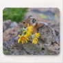 Pika Mouse Mats