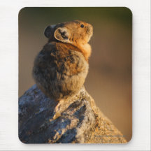 pika mousepad