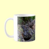 Pika mugs