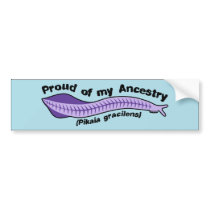 Pikaia - Proud of my Ancestry Bumper Sticker bumper stickers by Sporkbender Pikaia - Proud of my Ancestry Bumper Sticker bumper stickers