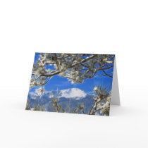 Pikes Peak Winter Snow Covered Fractal Art cards by KahunaLuna Pikes Peak Winter Snow Covered Fractal Art cards