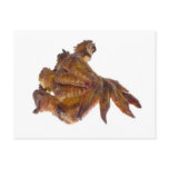 Pile of BBQ chicken wings Post Cards