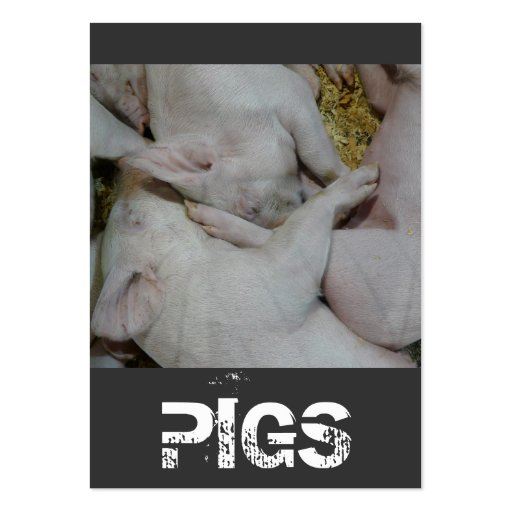 Pile of Piglets Pig Farm or Ranch Business Card (front side)