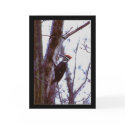 Pileated Woodpecker cards by amwesley Pileated Woodpecker cards