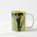 Pileated Woodpecker Coffee Mug mugs