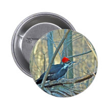 Pileated Woodpecker Coordinated Items Pins