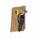 Pileated Woodpecker embroidered shirts by ZazzleEmbroidery Pileated Woodpecker embroidered shirts