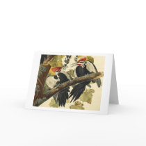 Pileated Woodpecker, John James Audubon Greeting Card