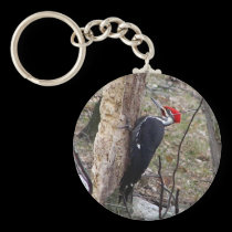 Pileated Woodpecker keychains
