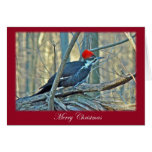 Pileated Woodpecker Merry Christmas Items Greeting Card