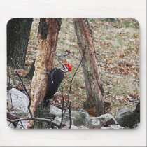 Pileated Woodpecker mousepads