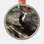 Pileated Woodpecker Ornament