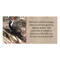 Pileated Woodpecker Custom Photo Card