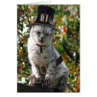 Pilgrim Cat Greeting Card