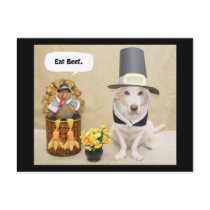 Pilgrim Myrtie postcards