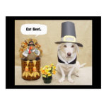 Pilgrim Myrtie Postcard Pilgrim Myrtie Postcard