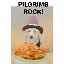 PILGRIMS ROCK! t-shirts