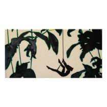 Piliero Fairies photo cards