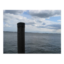 Piling Post Card