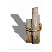 Pilings051709Shadows Postcard