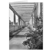 PILLARS CARDS