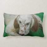 pillow - Customized