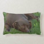pillow - Customized