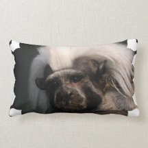pillow - Customized