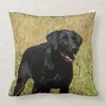 pillow - Customized