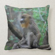 pillow - Customized