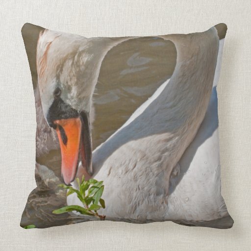 Pillow: Feeding Swan